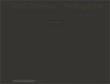 Tablet Screenshot of didier-zylberyng.com